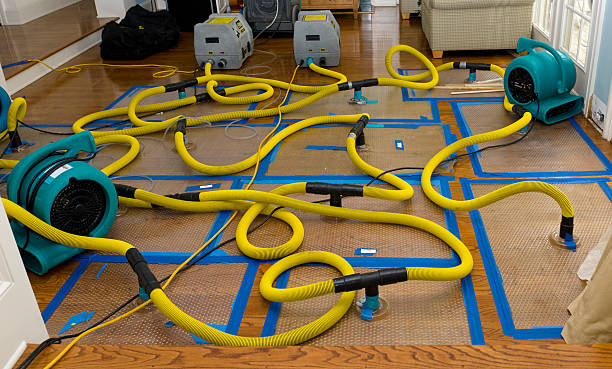 Professional Water Damage Repair technician working in Peebles, OH